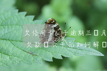 欠信用卡6千逾期三個月，逾期三個月，信用卡欠款達六千元，如何解決？
